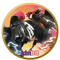 kin88