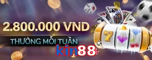 kin88