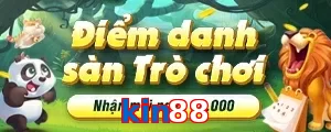 kin88